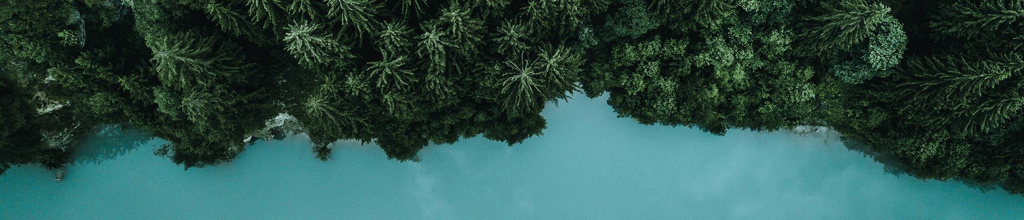 Aerial shot of a forest by a lake